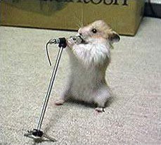 zingende hamster.jpg (14603 bytes)