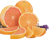 sinasappel-grapefruit.gif (6470 bytes)