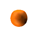 sinasappel.gif (110506 bytes)